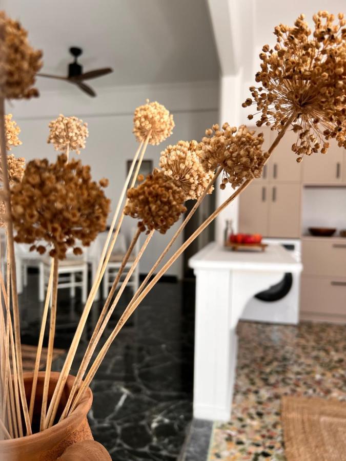 Apartment In Paros Bagian luar foto